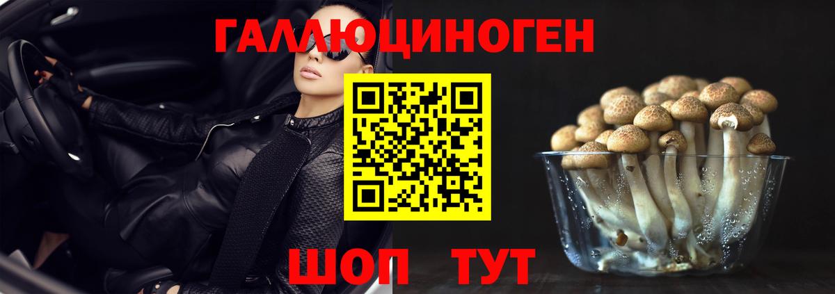 Псилоцибиновые грибы Magic Shrooms  Вход с VPN  Котлас  Галлюциногенные грибы Psilocybine cubensis 